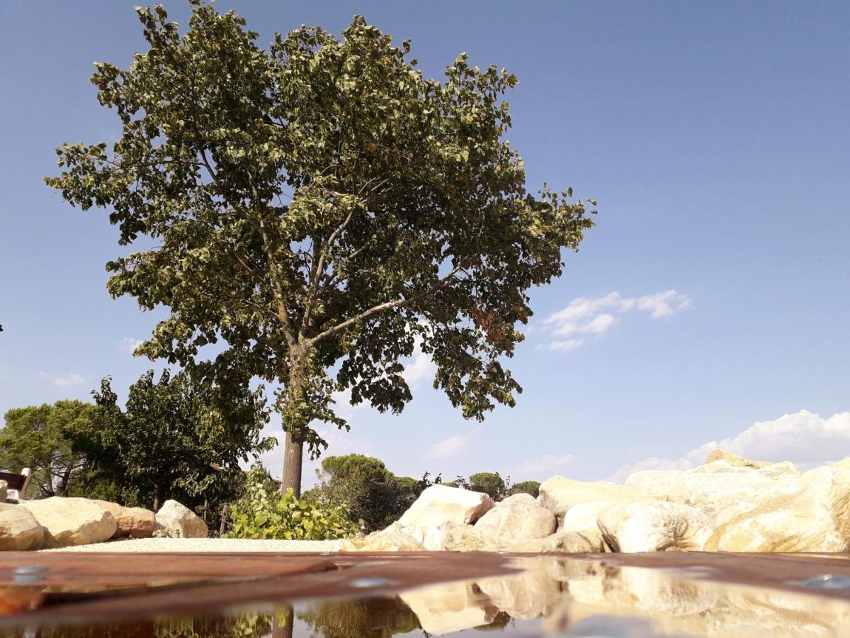 Castello Nuovo Di Fiore - Appartamento 1 Εξωτερικό φωτογραφία