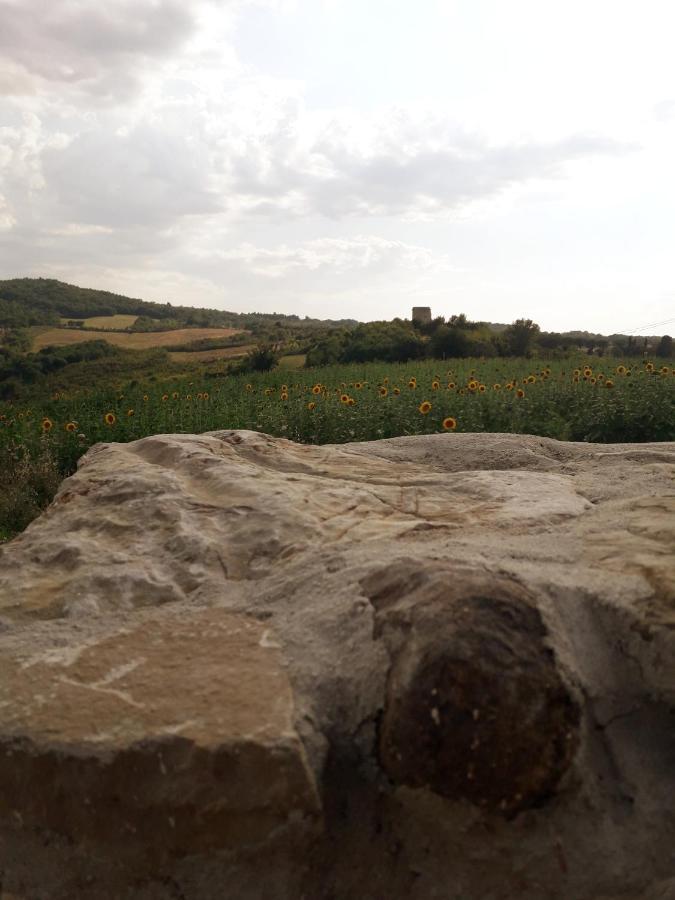Castello Nuovo Di Fiore - Appartamento 1 Εξωτερικό φωτογραφία